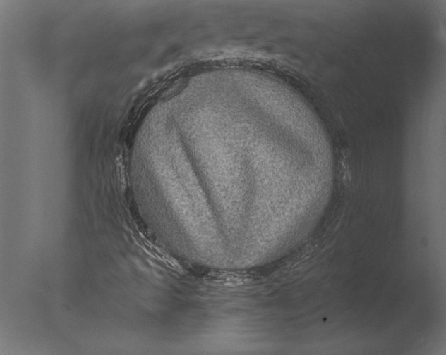 X0000076351493200610201746