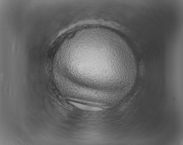 X0000076351494200610201746