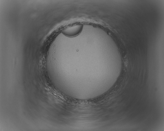 X0000076351495200610201746