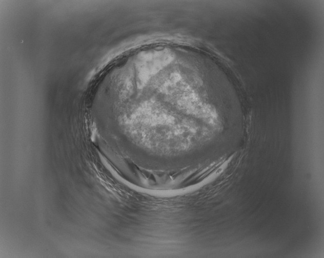 X0000076351496200610201746