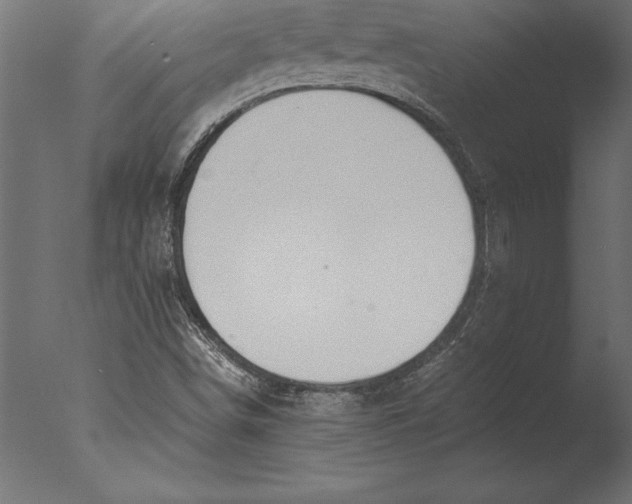 X0000076351498200610201746