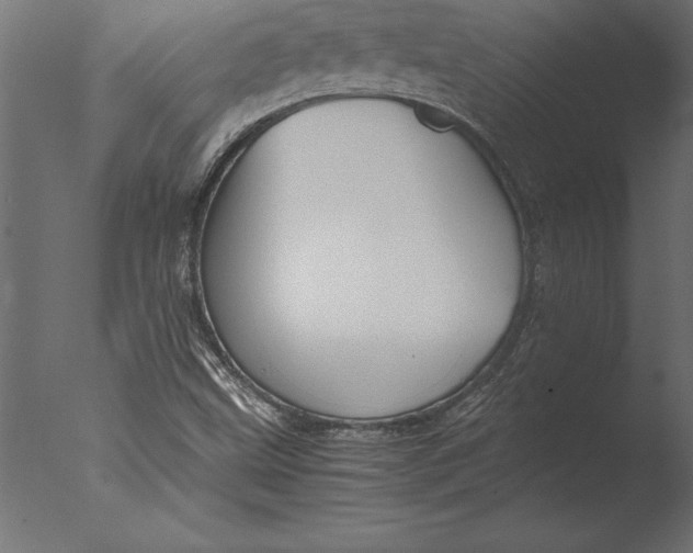 X0000076351499200610201746