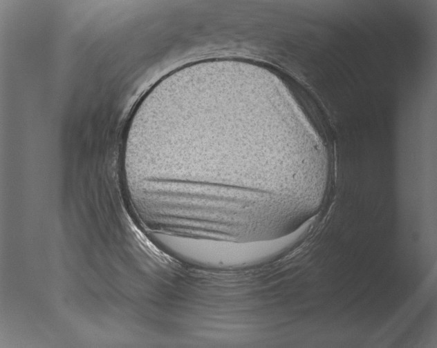 X0000076351500200610201746