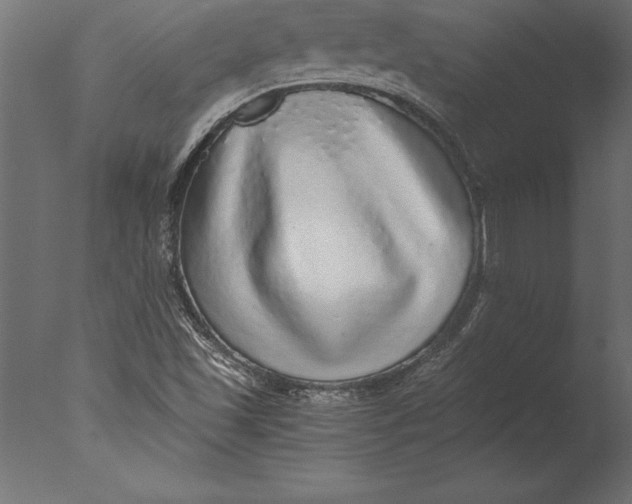 X0000076351501200610201746