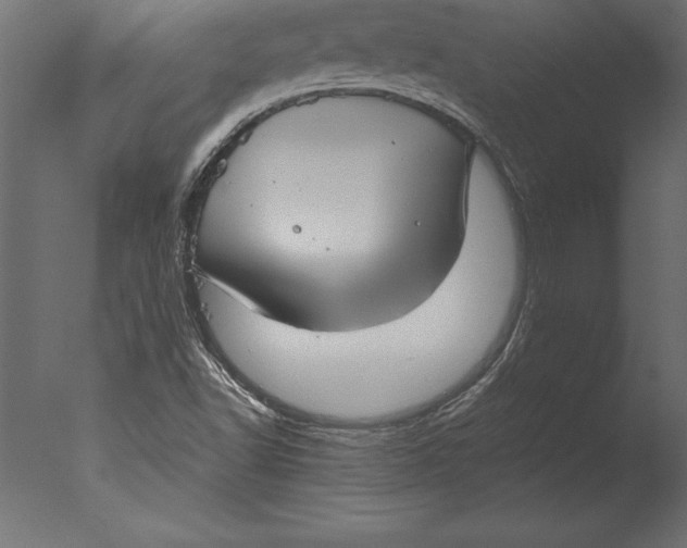 X0000076351502200610201746