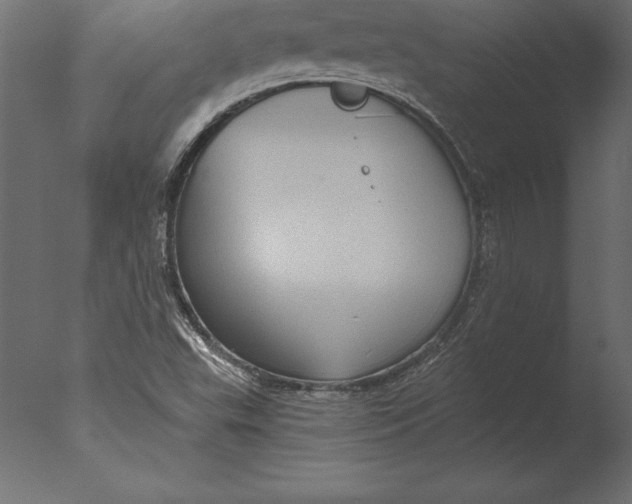 X0000076351503200610201746