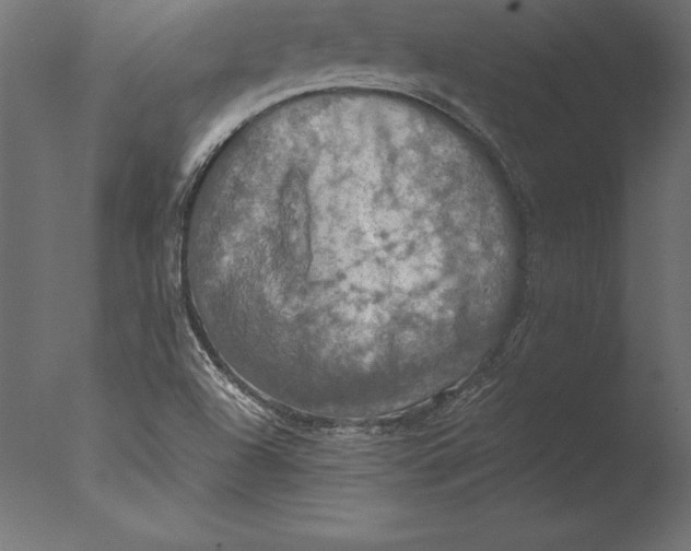 X0000076351504200610201746