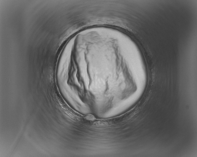 X0000076351505200610201746