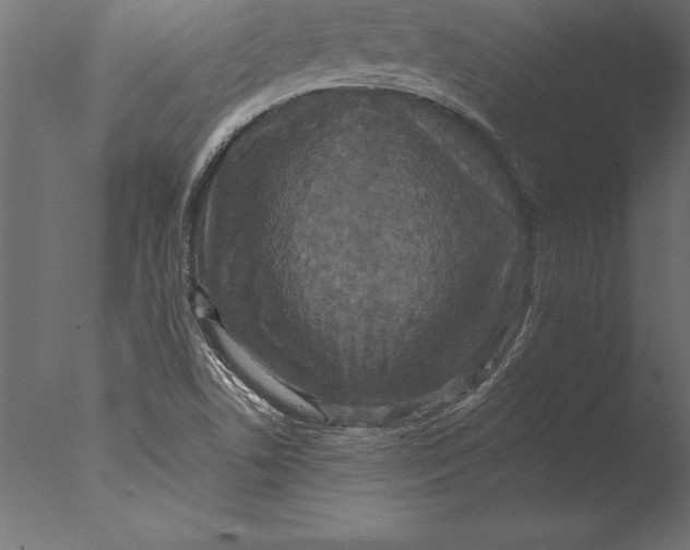 X0000076351506200610201746