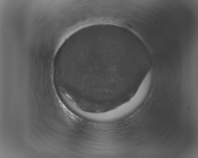 X0000076351508200610201747