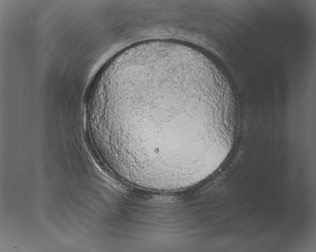 X0000076351509200610201747