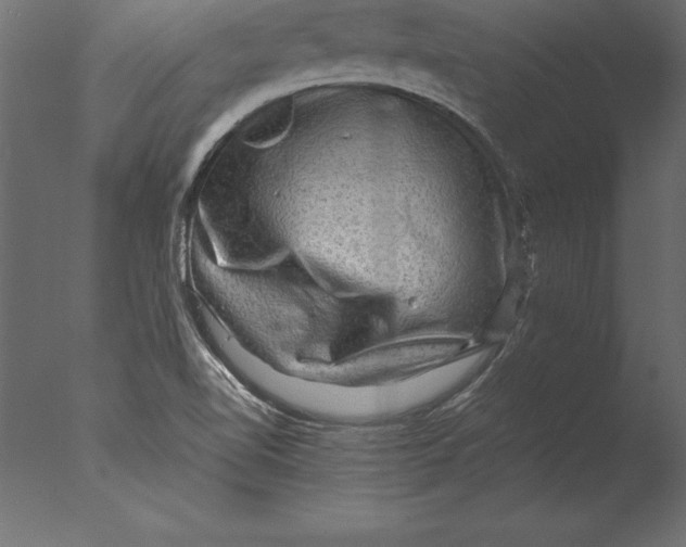 X0000076351510200610201747