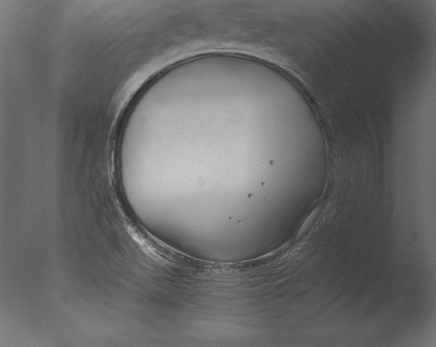 X0000076351511200610201747