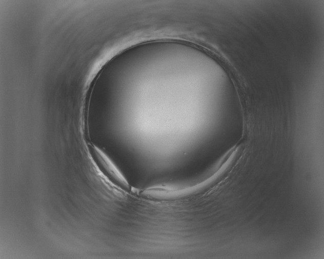 X0000076351512200610201747