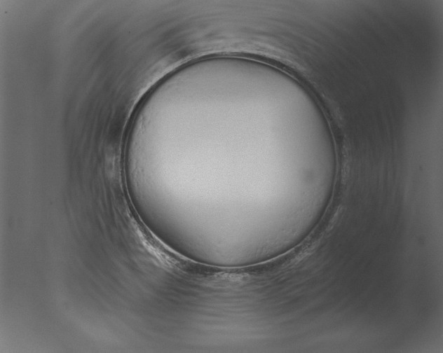 X0000076351513200610201747