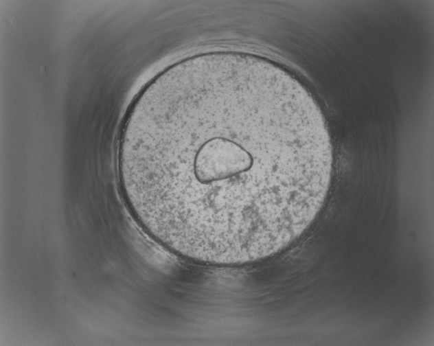 X0000076351514200610201747