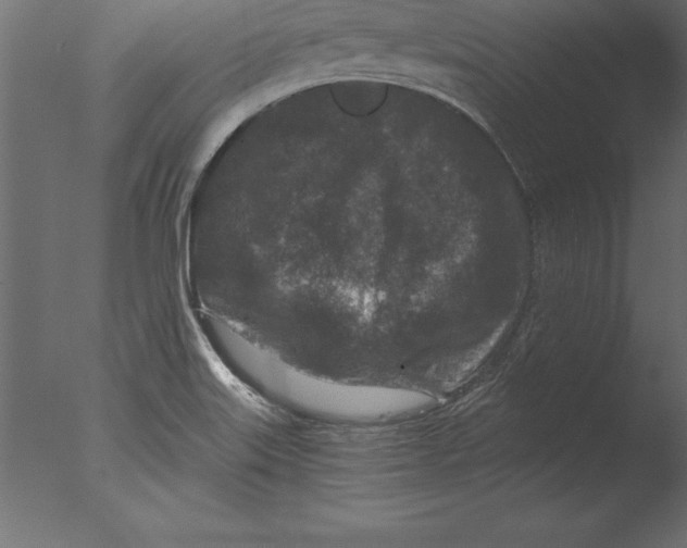 X0000076351515200610201747