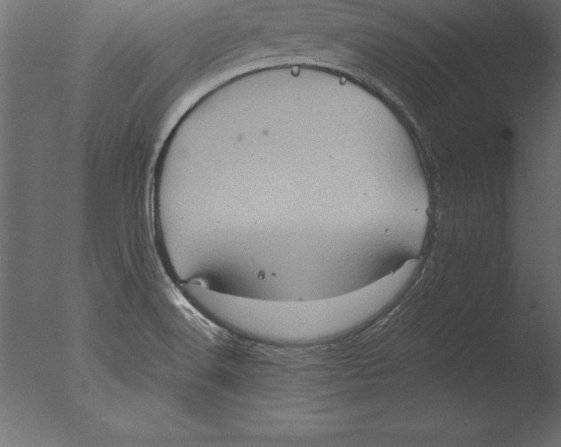 X0000076351516200610201747