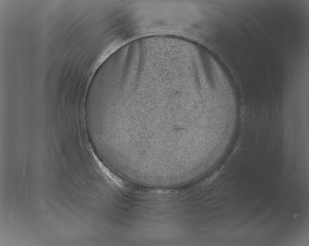 X0000076351521200610201747