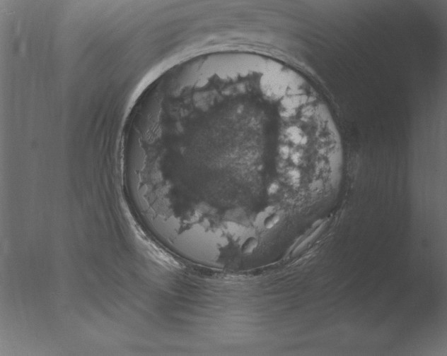 X0000076351522200610201747