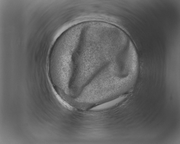 X0000076351523200610201747