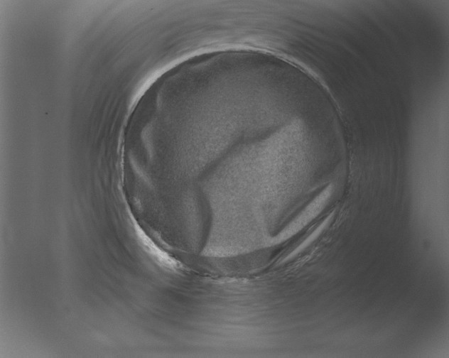 X0000076351524200610201747