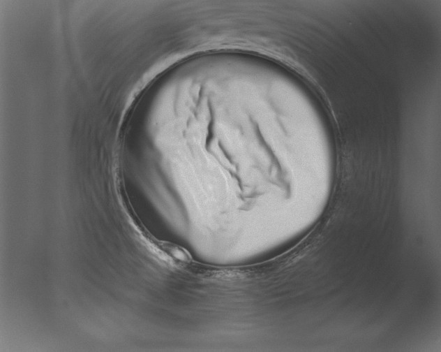 X0000076351525200610201747