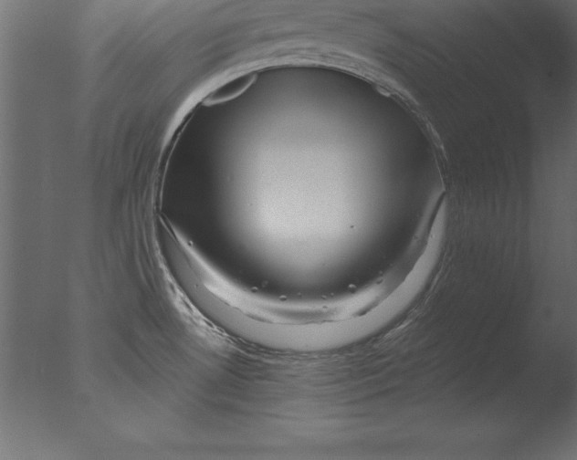 X0000076351530200610201747