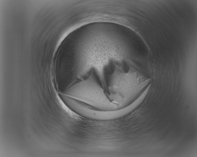 X0000076351531200610201747