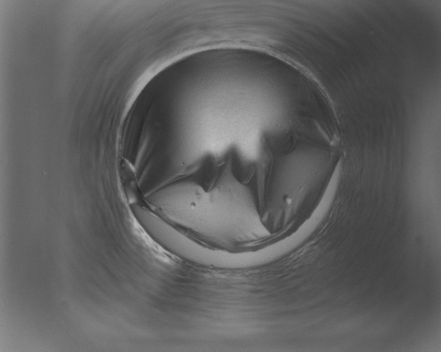 X0000076351532200610201747