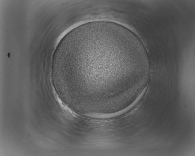 X0000076351534200610201747