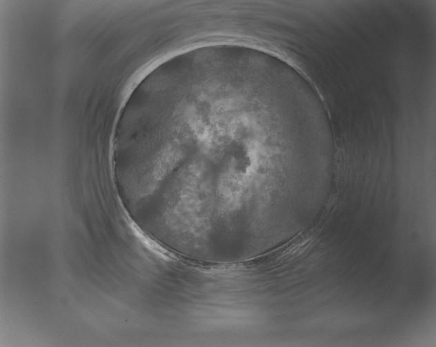 X0000076351535200610201747