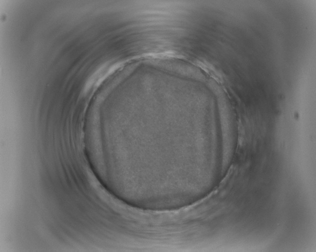 X0000076350002200610272131