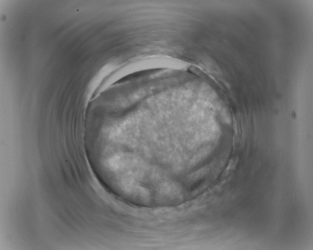 X0000076350003200610272131