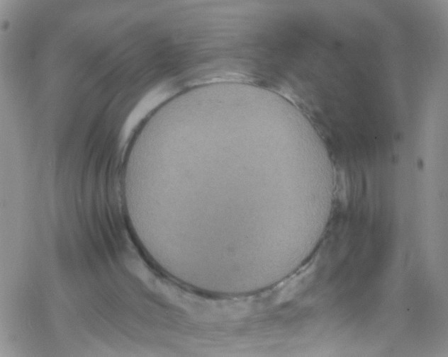 X0000076350004200610272131