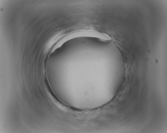 X0000076350005200610272131