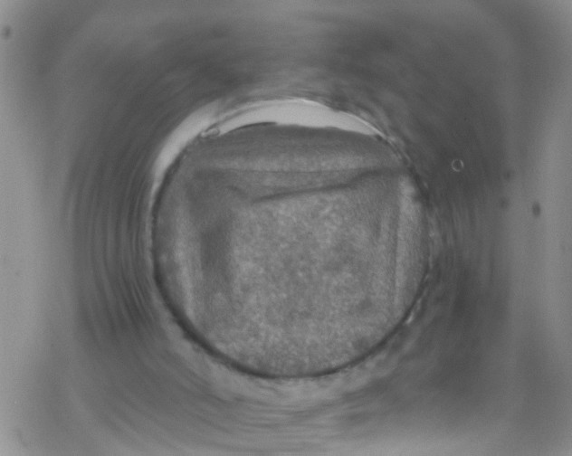 X0000076350006200610272131