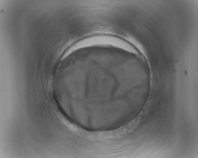 X0000076350009200610272131