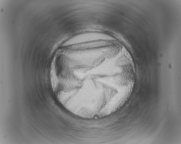 X0000076350010200610272131