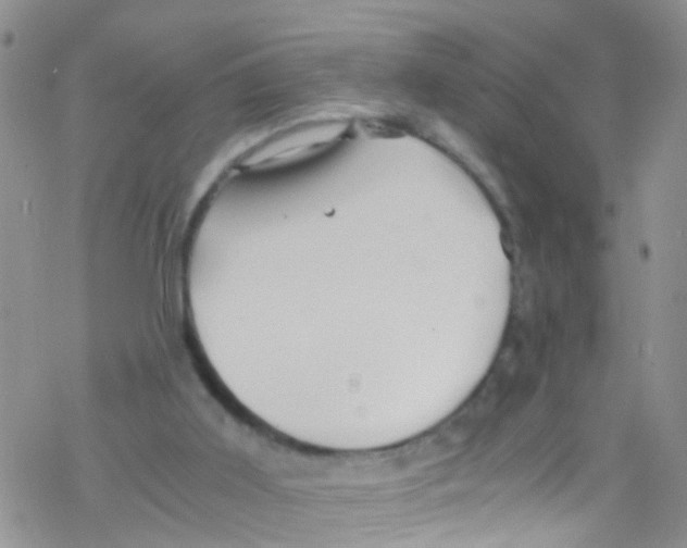 X0000076350011200610272131