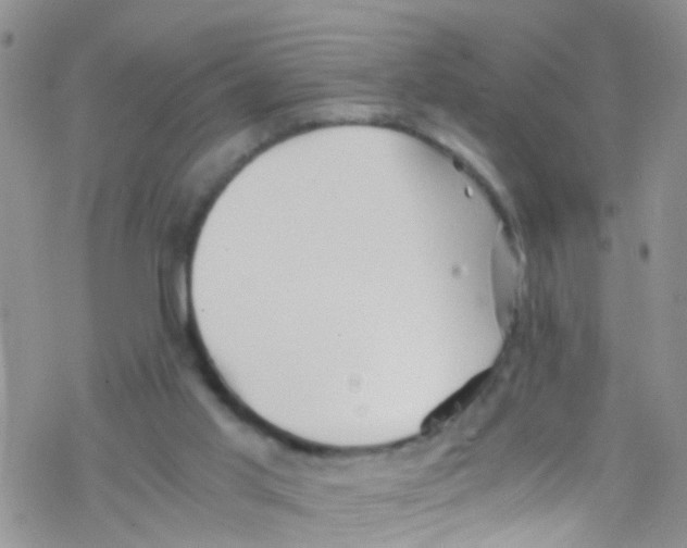 X0000076350013200610272131