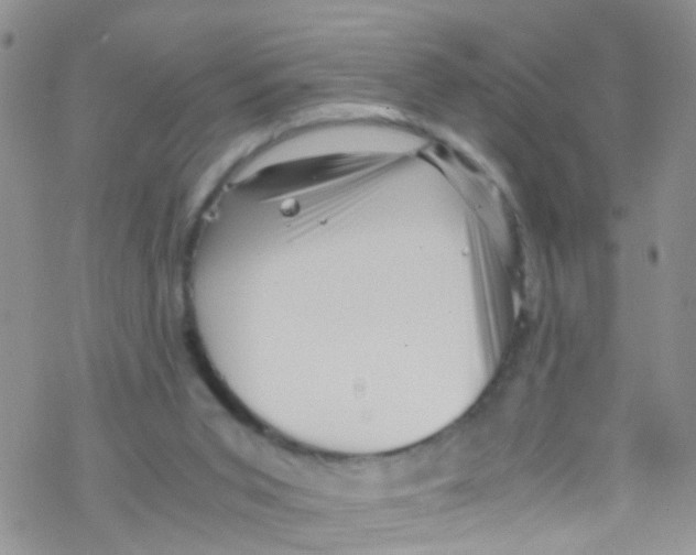 X0000076350015200610272131