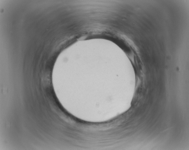 X0000076350017200610272131