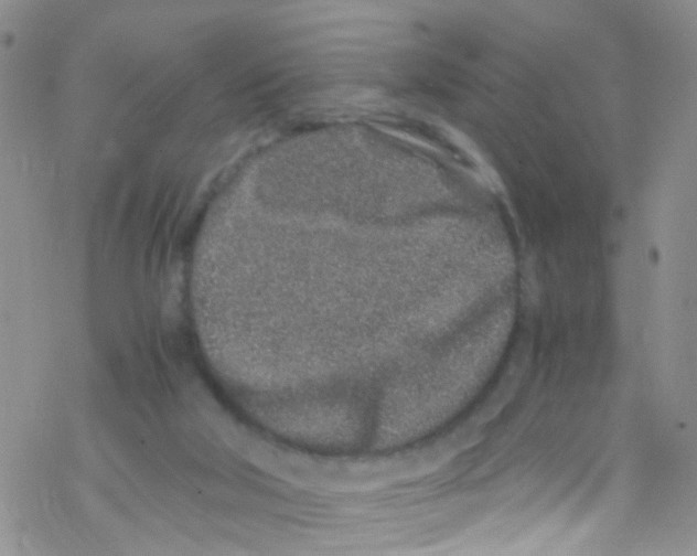 X0000076350018200610272131