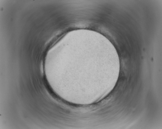 X0000076350020200610272131