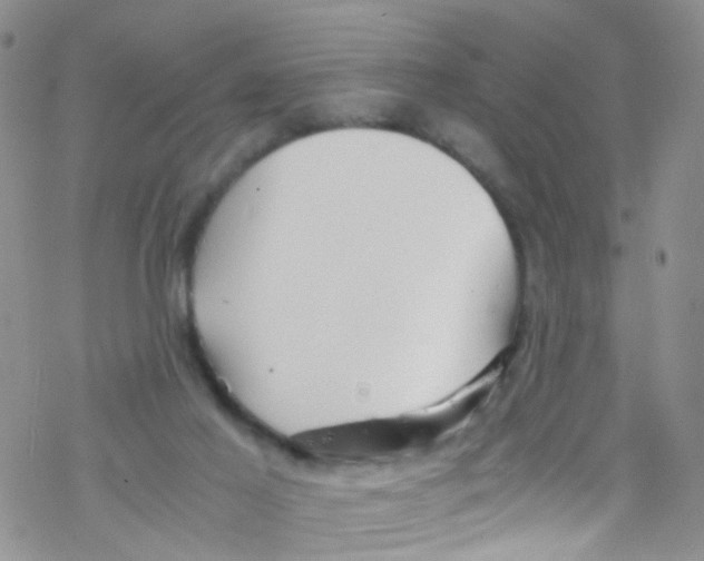 X0000076350021200610272131