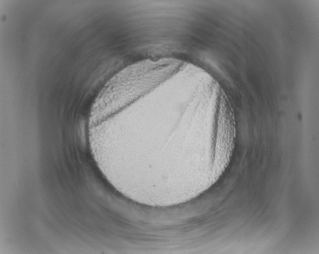 X0000076350022200610272131