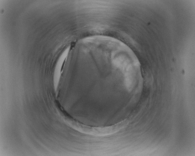 X0000076350027200610272131