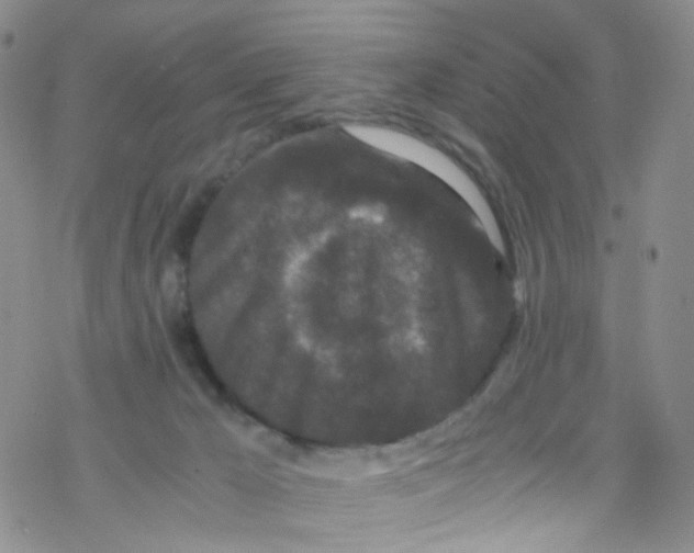 X0000076350029200610272131