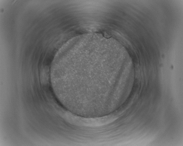 X0000076350030200610272131